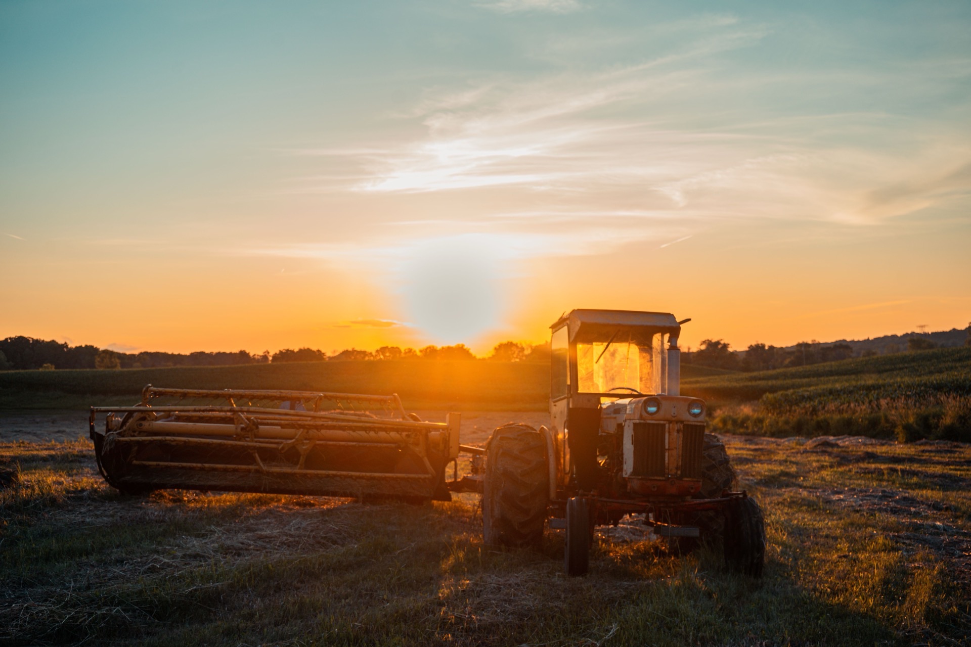 A farmer stands in a wheat field at sunrise, looking across productive farmland.