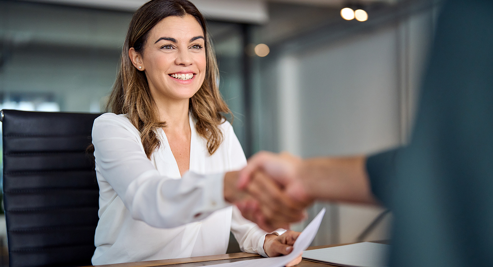 Two professionals shaking hands
